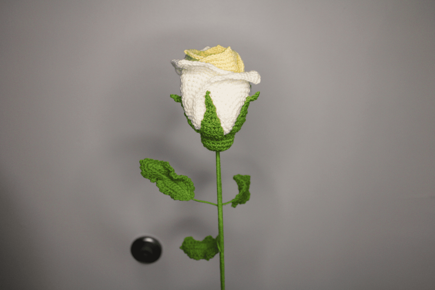 Cup Rose